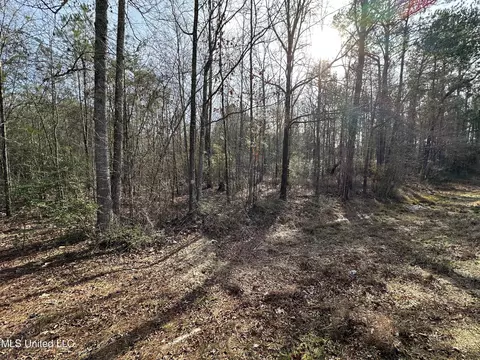 Simpson Hwy 13, Mendenhall, MS 39114