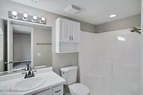 Bath - 312 Wild Cedar Pl, Brandon, MS 39042 photo 2 of 3