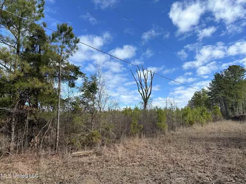 S County Line Road, Preston, MS 39354 photo 4