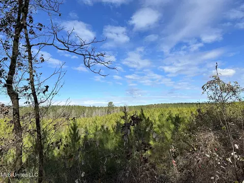 S County Line Road, Preston, MS 39354 photo 3