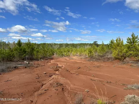 S County Line Road, Preston, MS 39354