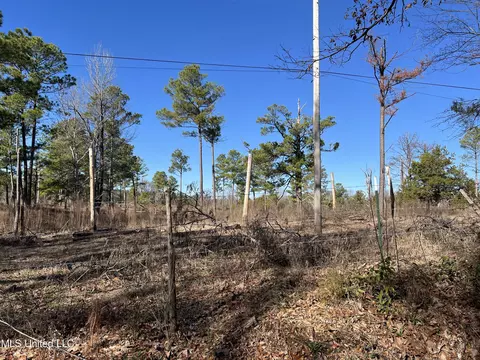 Barnes Road Road, Canton, MS 39046 photo 3