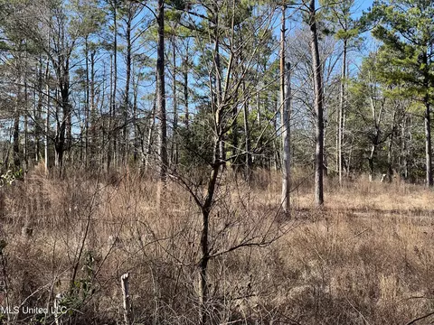 Barnes Road Road, Canton, MS 39046 photo 10