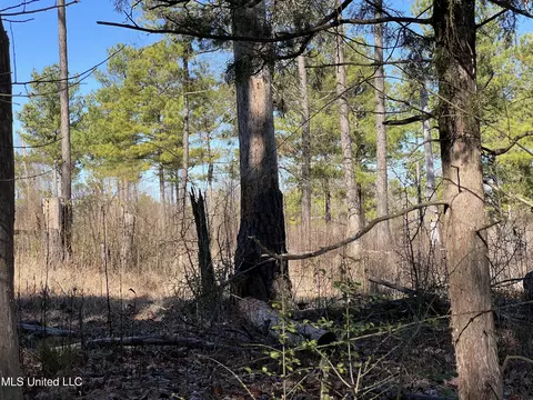 Barnes Road Road, Canton, MS 39046 photo 6