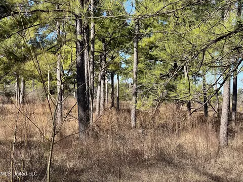 Barnes Road Road, Canton, MS 39046 photo 8