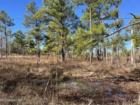 Barnes Road Road, Canton, MS 39046 photo 7