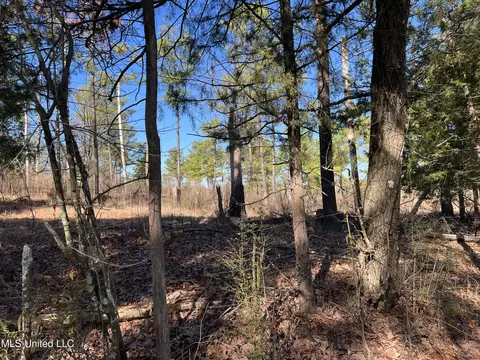 Barnes Road Road, Canton, MS 39046 photo 5