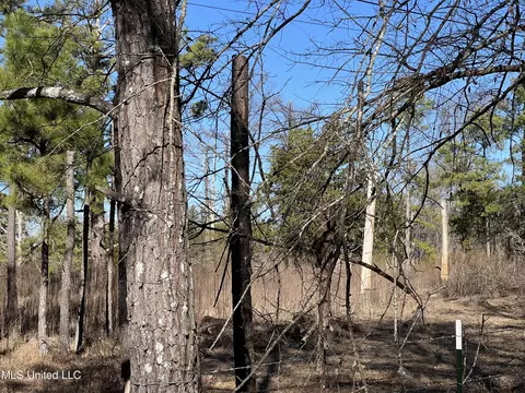 Barnes Road Road, Canton, MS 39046 photo 9