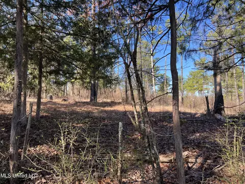 Barnes Road Road, Canton, MS 39046 photo 4