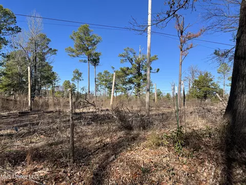 Barnes Road Road, Canton, MS 39046 photo 2