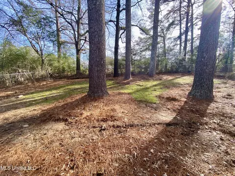 Exterior - 4554 Meadowridge Dr, Jackson, MS 39206 photo 3 of 5