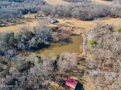 View/Area - 7411 Peyton Rd, Coldwater, MS 38618 photo 5 of 12