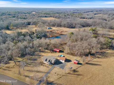View/Area - 7411 Peyton Rd, Coldwater, MS 38618 photo 4 of 12