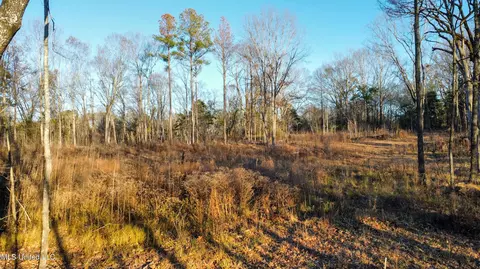 5370 Clinton-tinnin Rd, Jackson, MS 39209 photo 1
