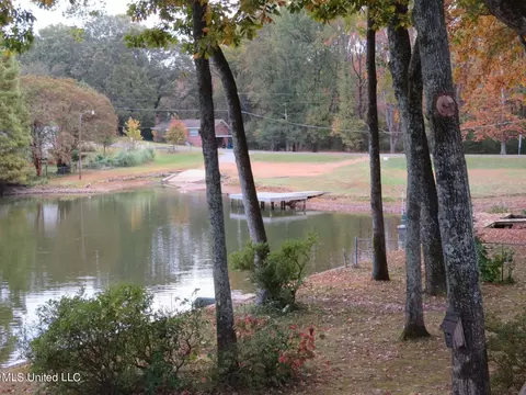 Other - 507 N Thunderbird Dr, Hernando, MS 38632 photo 7 of 7