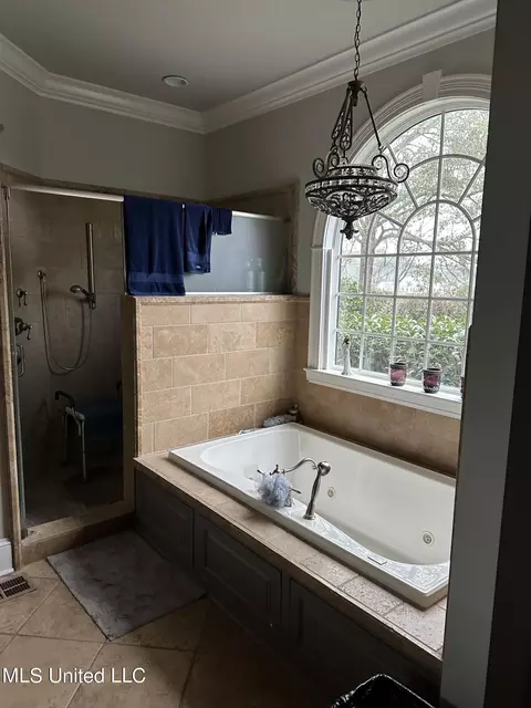 Bath - 203 NE Oak Hill Dr, Brookhaven, MS 39601 photo 2 of 5