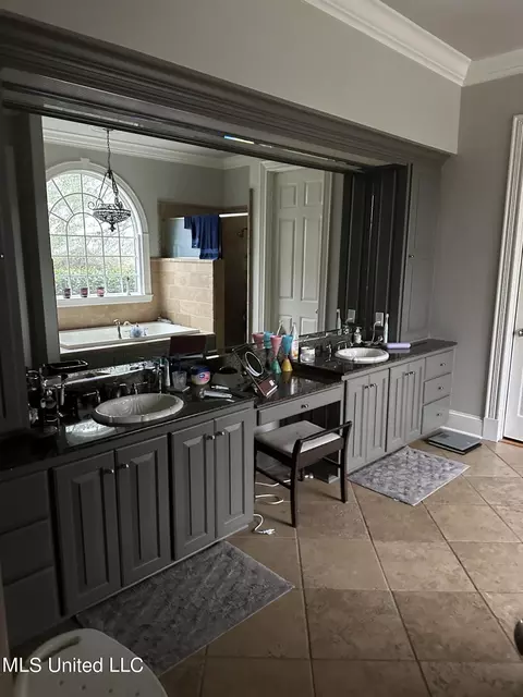 Bath - 203 NE Oak Hill Dr, Brookhaven, MS 39601 photo 3 of 5