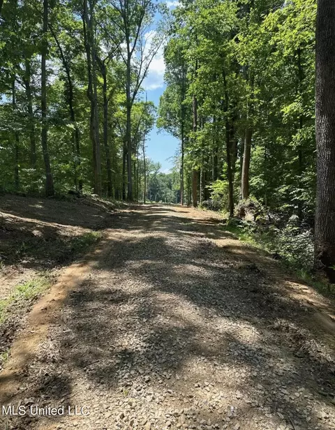 Sandy Ridge Road, Byhalia, MS 38611