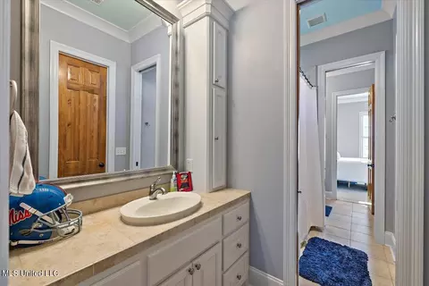 Bath - 134 Bristol Dr, Madison, MS 39110 photo 4 of 6