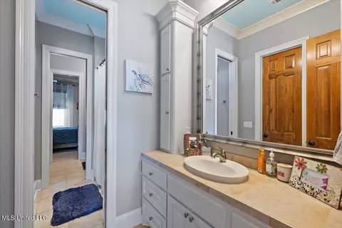 Bath - 134 Bristol Dr, Madison, MS 39110 photo 3 of 6
