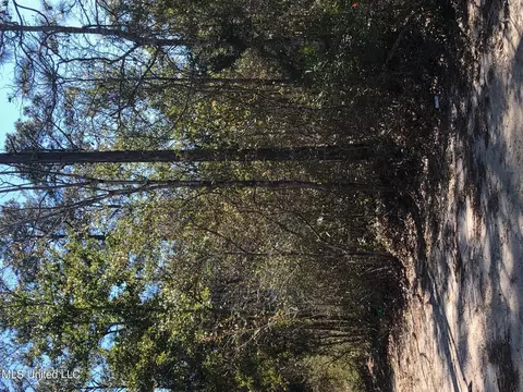 Willow Lot 358 Street, Ocean Springs, MS 39564