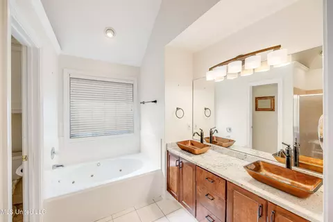 Bath - 411 Brighton Ct, Brandon, MS 39047 photo 1 of 2