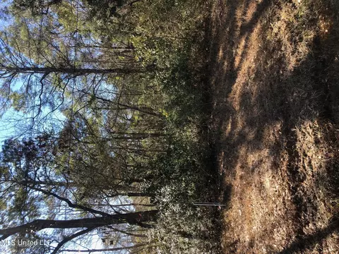 Magnolia Lots 797 & 798 Street, Ocean Springs, MS 39564