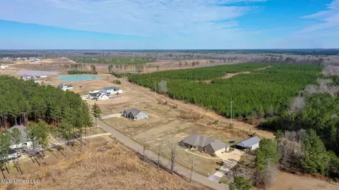 View/Area - 316 Stump Ridge Rd, Brandon, MS 39047 photo 4 of 5