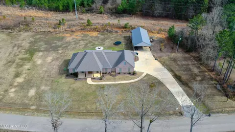 Other - 316 Stump Ridge Rd, Brandon, MS 39047 photo 9 of 9
