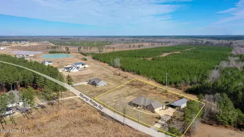 View/Area - 316 Stump Ridge Rd, Brandon, MS 39047 photo 5 of 5