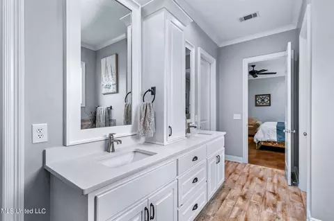 Bath - 316 Stump Ridge Rd, Brandon, MS 39047 photo 5 of 11