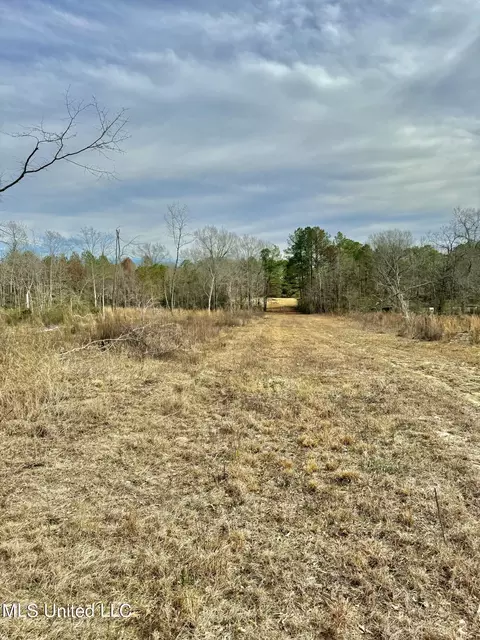140 Sawmill Rd, Braxton, MS 39044