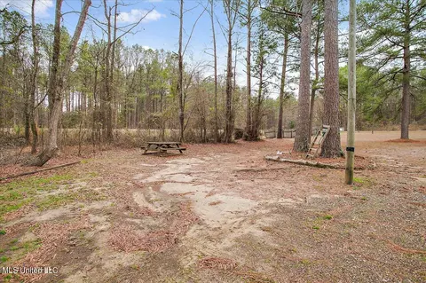 Exterior - 100 Sandy Hills Rd, Brandon, MS 39047 photo 11 of 11