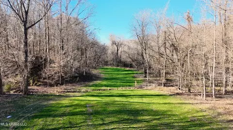 Scarlett Rd, Yazoo City, MS 39194