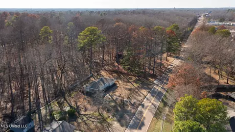 View/Area - 219 E Jackson St, Ridgeland, MS 39157 photo 3 of 5