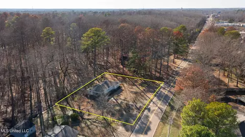 View/Area - 219 E Jackson St, Ridgeland, MS 39157 photo 4 of 5