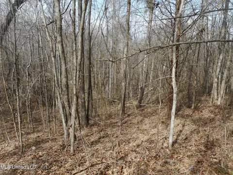 1196 Ellis Rd, West, MS 39192 photo 61