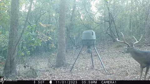 1196 Ellis Rd, West, MS 39192 photo 67