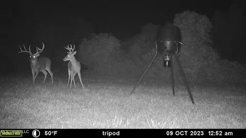 1196 Ellis Rd, West, MS 39192 photo 78