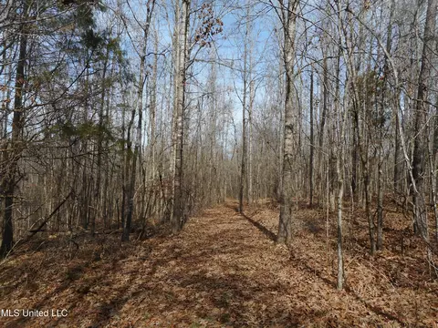 1196 Ellis Rd, West, MS 39192 photo 58