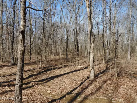 1196 Ellis Rd, West, MS 39192 photo 17