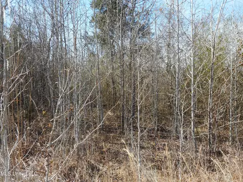 1196 Ellis Rd, West, MS 39192 photo 23