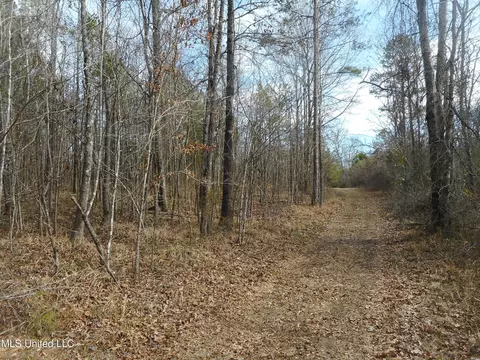 1196 Ellis Rd, West, MS 39192 photo 52
