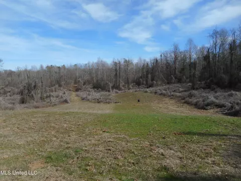 1196 Ellis Rd, West, MS 39192 photo 50