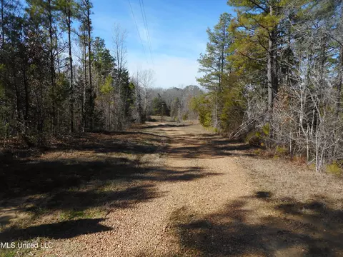 1196 Ellis Rd, West, MS 39192 photo 19