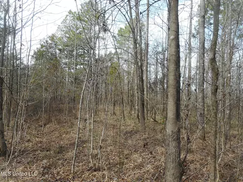 1196 Ellis Rd, West, MS 39192 photo 53