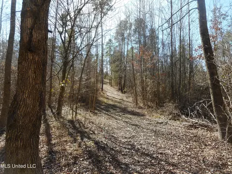 1196 Ellis Rd, West, MS 39192 photo 18