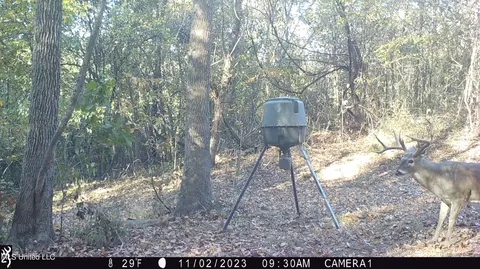 1196 Ellis Rd, West, MS 39192 photo 71