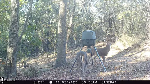 1196 Ellis Rd, West, MS 39192 photo 72