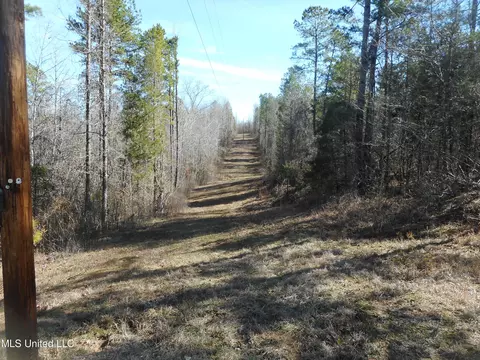 1196 Ellis Rd, West, MS 39192 photo 14